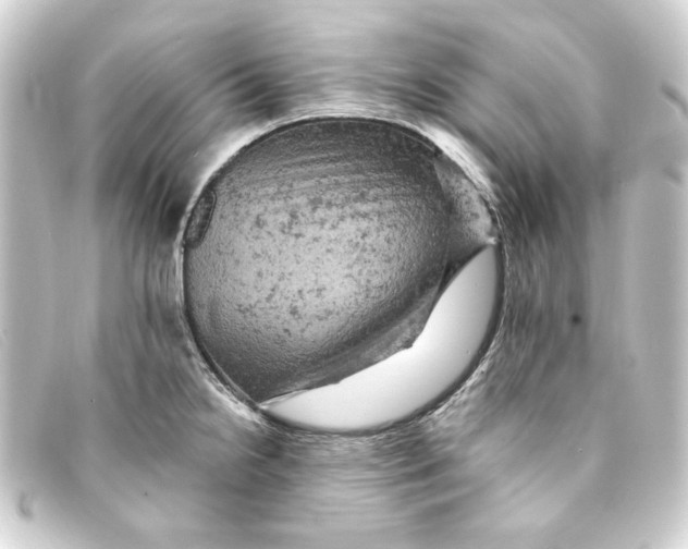 X0000093171238200710241033