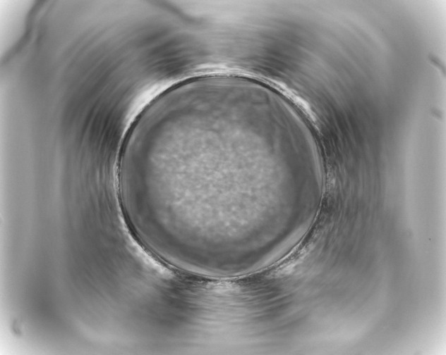 X0000093171239200710241033