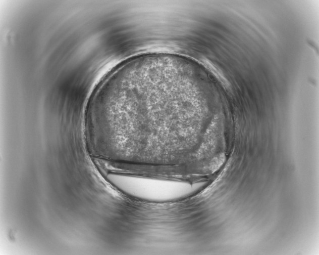 X0000093171240200710241033