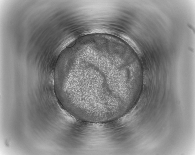 X0000093171241200710241033