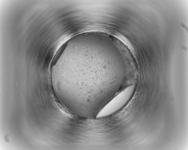 X0000093171242200710241033