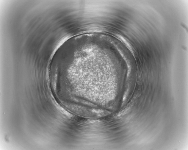 X0000093171243200710241033