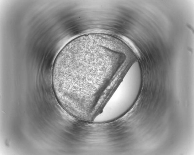 X0000093171244200710241033