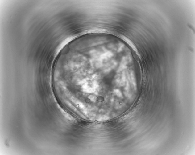 X0000093171245200710241033