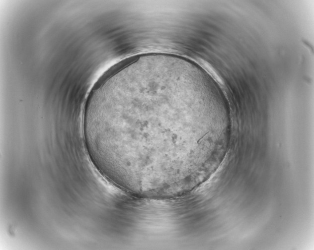 X0000093171246200710241033