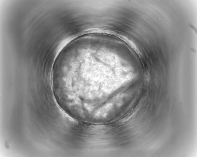 X0000093171247200710241033