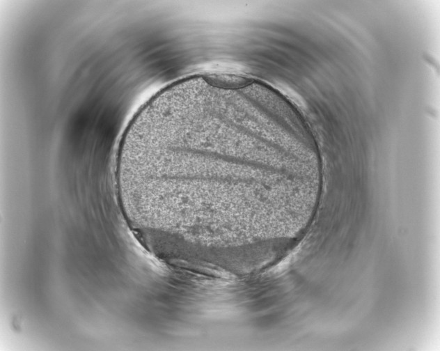 X0000093171248200710241033