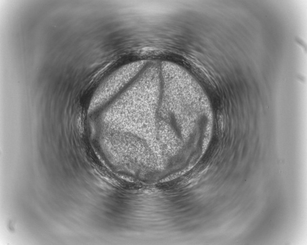 X0000093171250200710241033