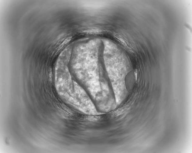 X0000093171251200710241033