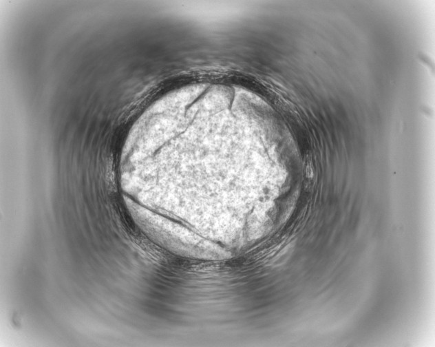 X0000093171252200710241032