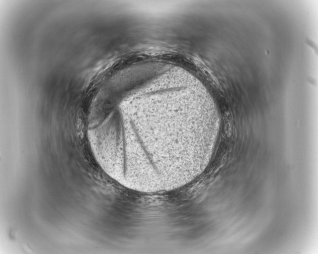 X0000093171253200710241032