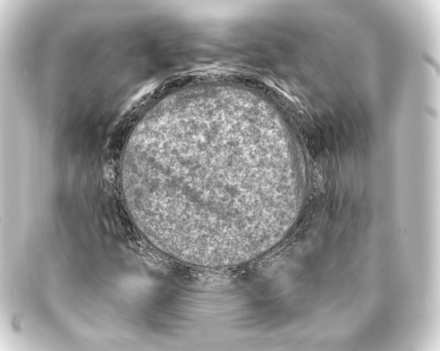 X0000093171254200710241032