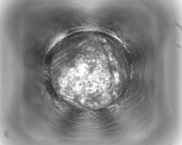 X0000093171255200710241032