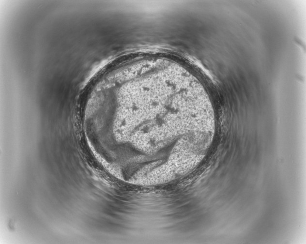 X0000093171256200710241032