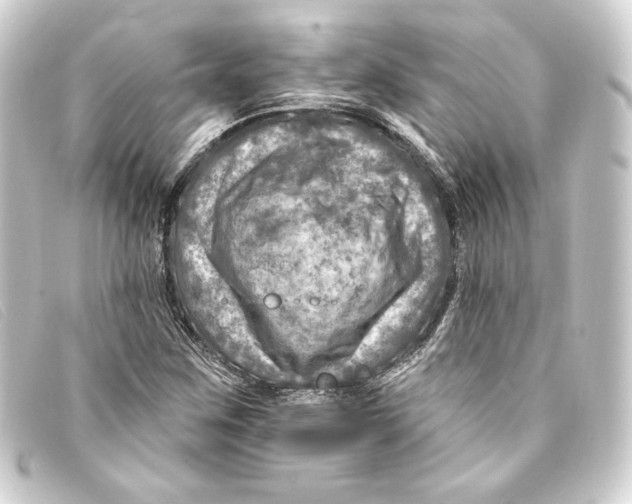 X0000093171259200710241032