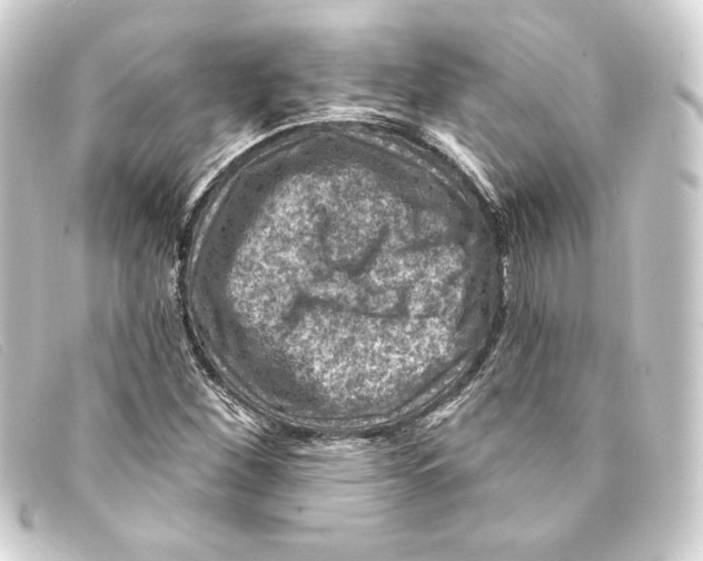 X0000093171260200710241032