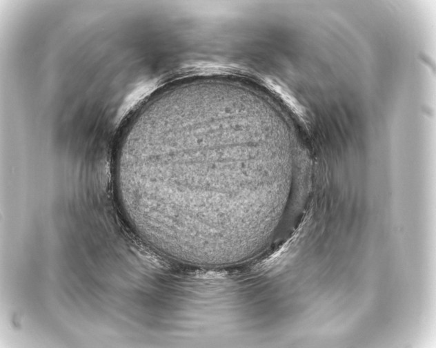 X0000093171261200710241032