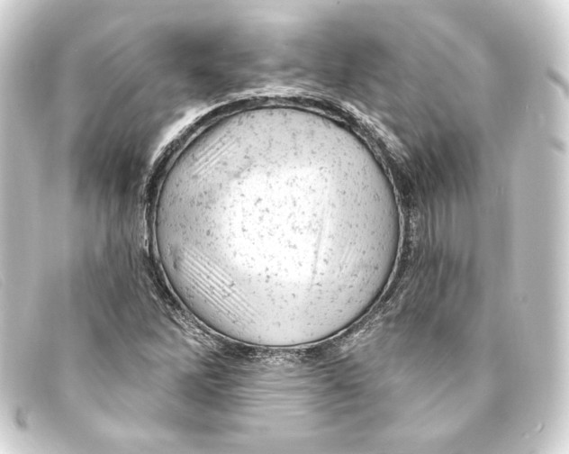 X0000093171262200710241032