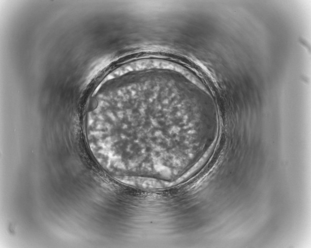 X0000093171263200710241032