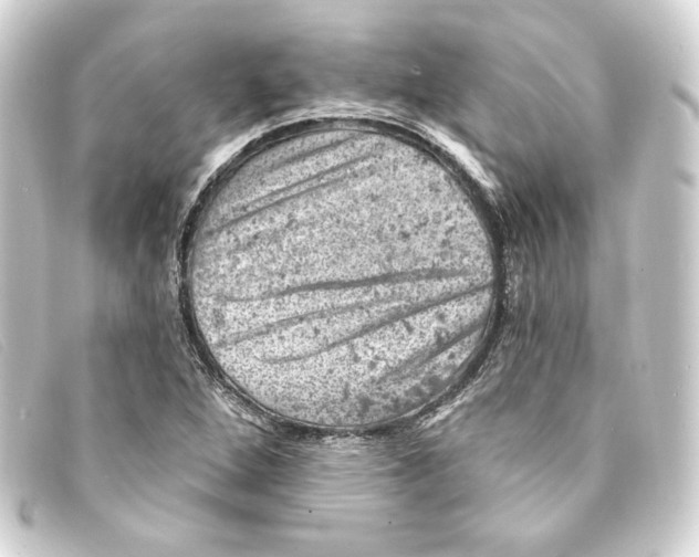 X0000093171264200710241032