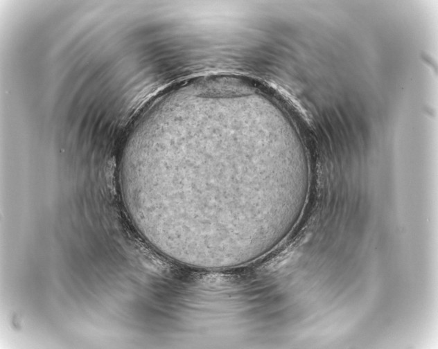 X0000093171265200710241032