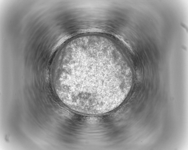 X0000093171266200710241032