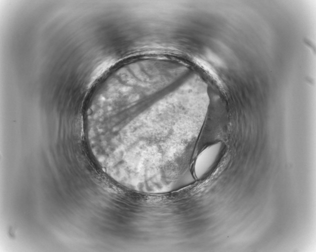 X0000093171267200710241032