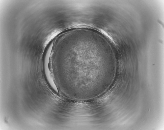 X0000093171269200710241032