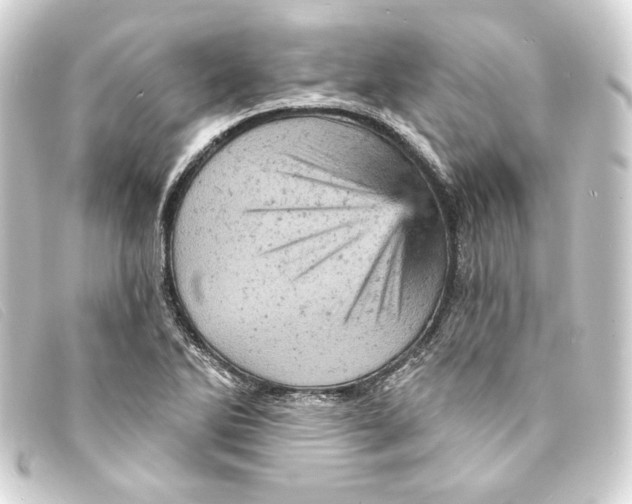 X0000093171270200710241032