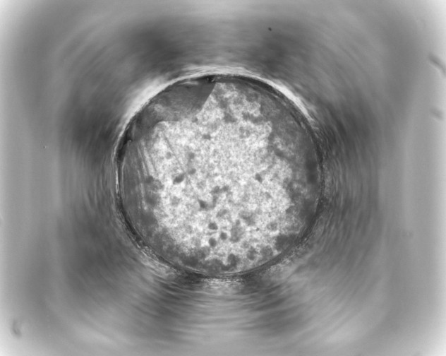 X0000093171271200710241032