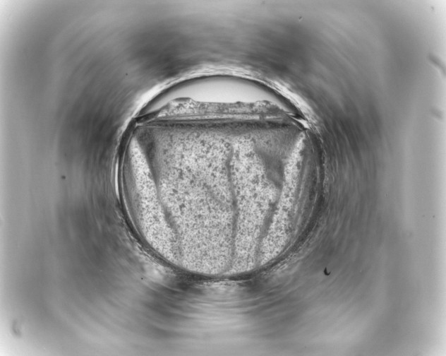 X0000093171272200710241032