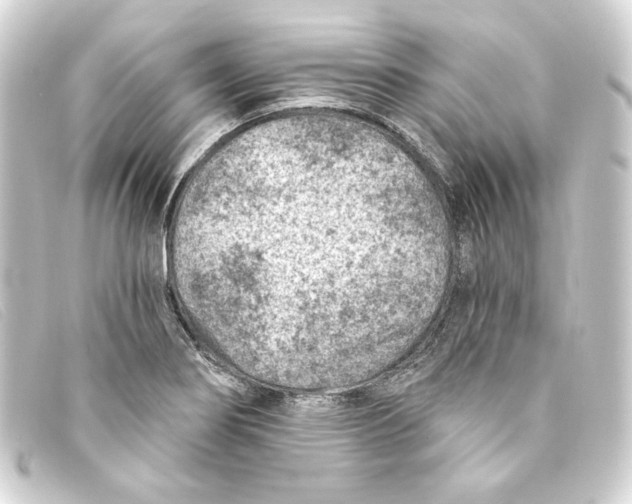 X0000093171274200710241032