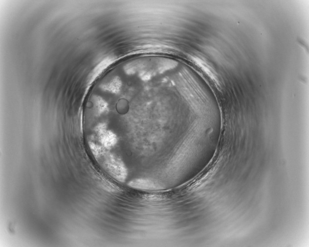 X0000093171275200710241032