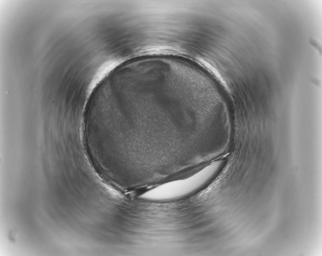 X0000093171277200710241032