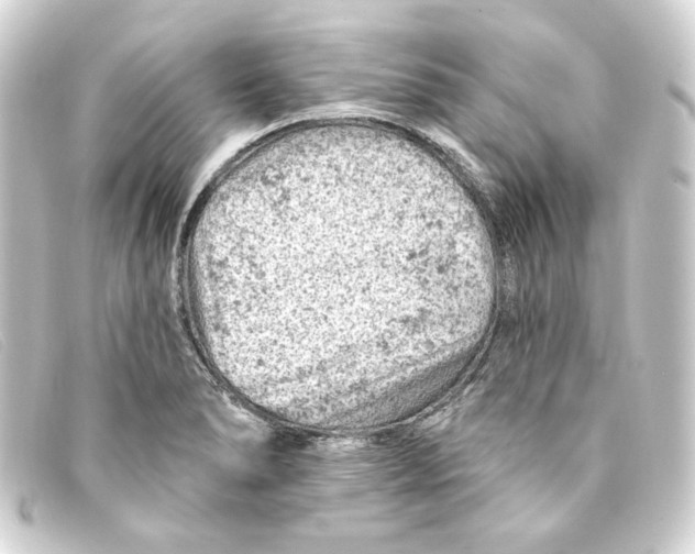 X0000093171278200710241032