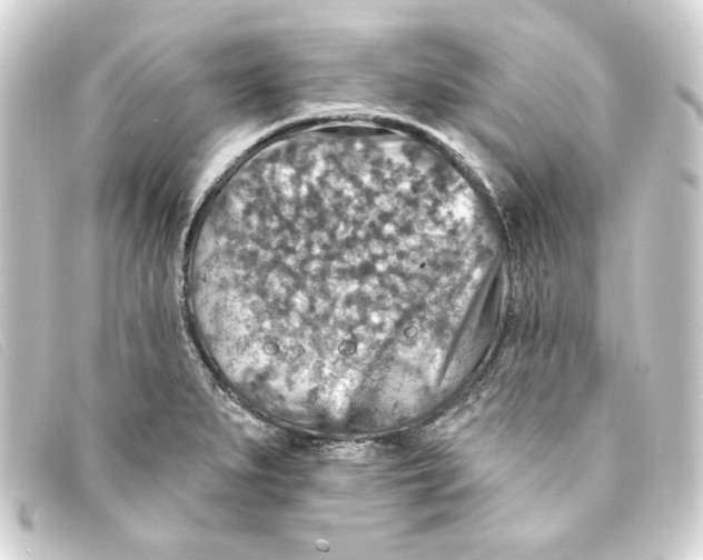 X0000093171279200710241032