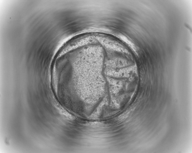 X0000093171280200710241032