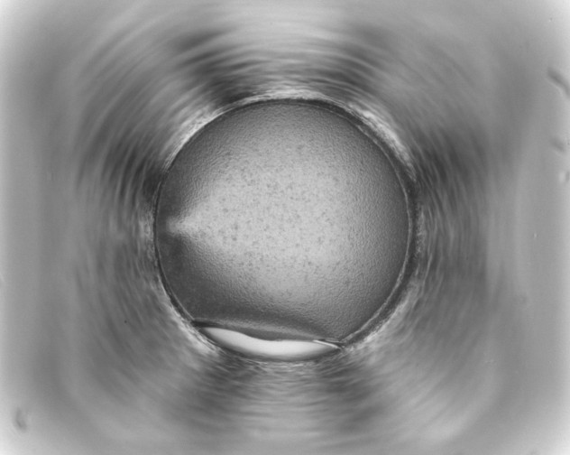 X0000093171281200710241032