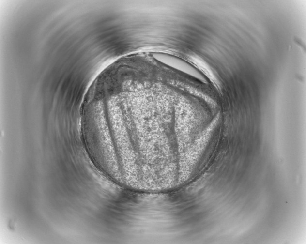 X0000093171284200710241032