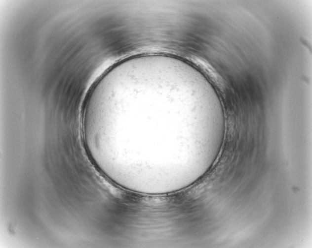 X0000093171286200710241032