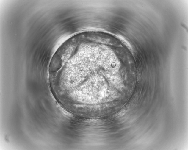 X0000093171287200710241032