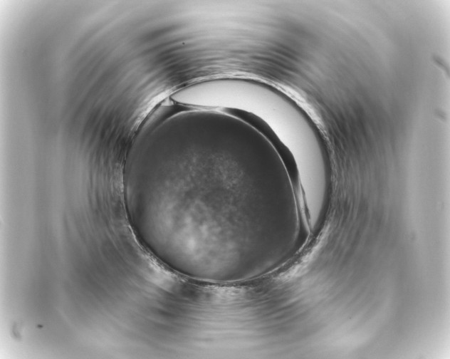 X0000093171289200710241032