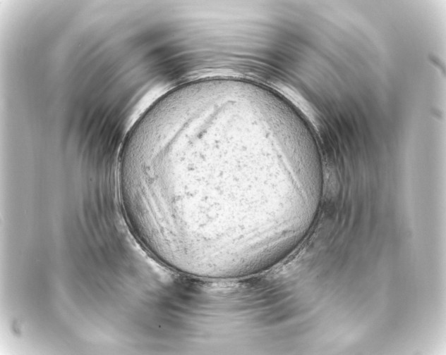 X0000093171290200710241032