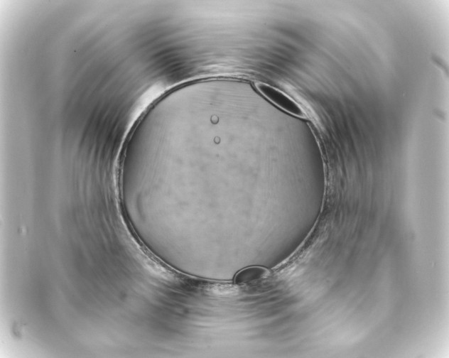 X0000093171291200710241032