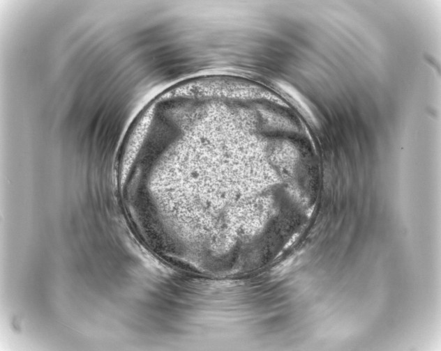 X0000093171292200710241032