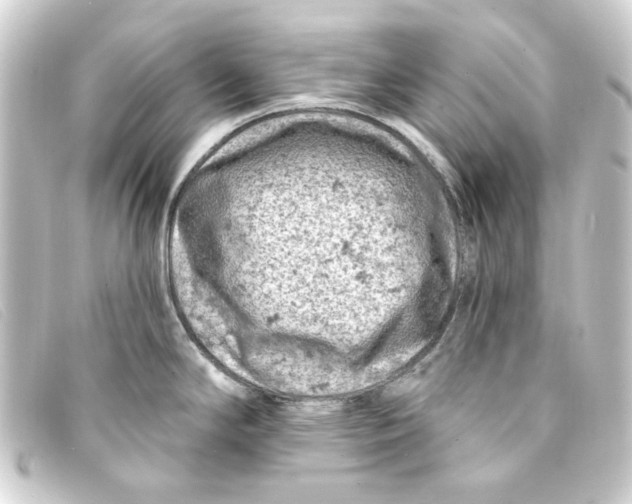 X0000093171294200710241032