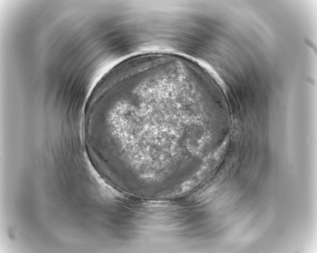 X0000093171295200710241032