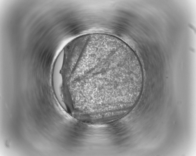 X0000093171296200710241032