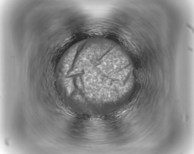 X0000093171297200710241031