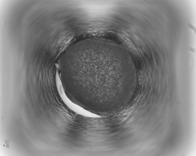 X0000093171298200710241031